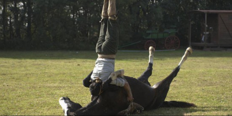  Tango with a horse, 'Horse Whisperer' is called a self-taught from Argentina (Video)