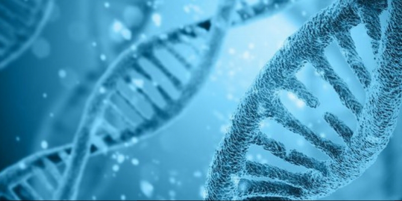 Genetic data storage come near to the critical point, is growing faster than Youtube