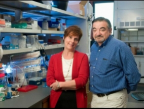  Protein therapy prevents the spread of cancer in the body