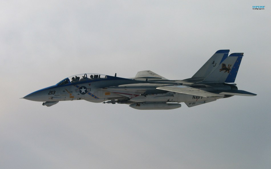 F-14 "Tomcat"