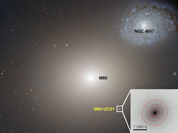 Mini-galaxy observed a gigantic black hole