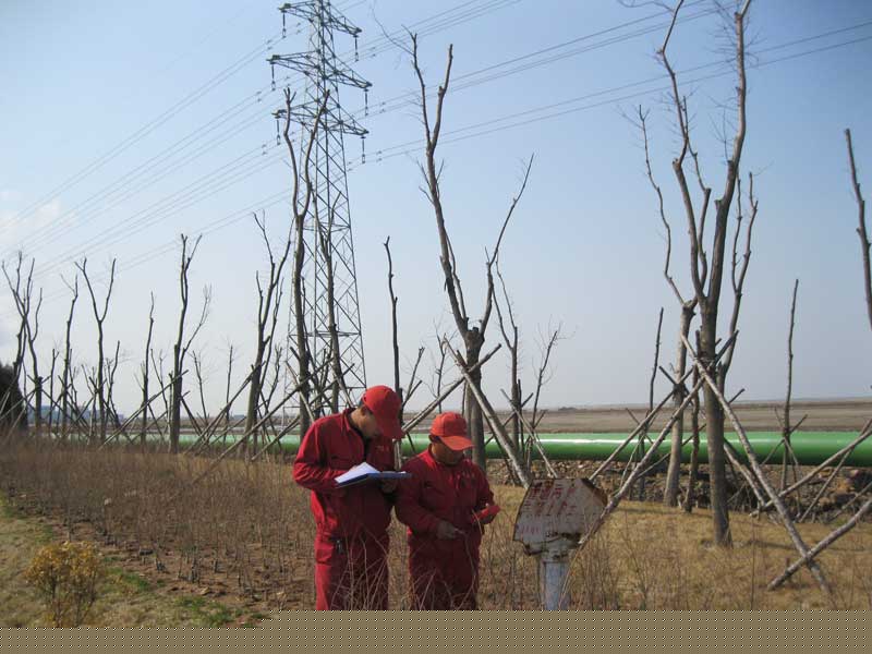 管道外腐蚀评估（ECDA）(图4)